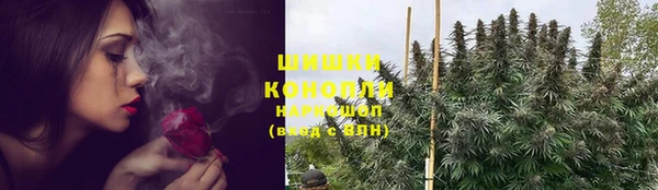 PSILOCYBIN Богородск