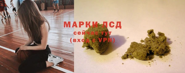 мяу мяу мука Беломорск