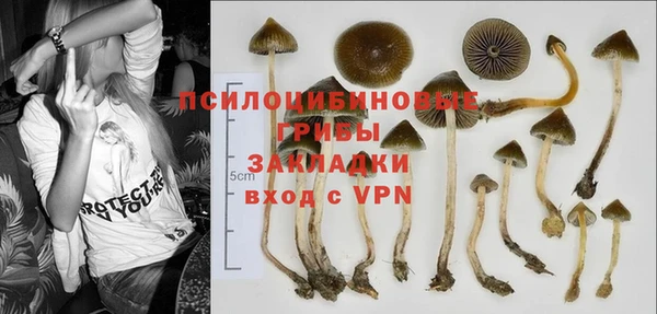мяу мяу мука Беломорск