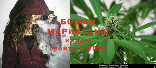 PSILOCYBIN Богородск