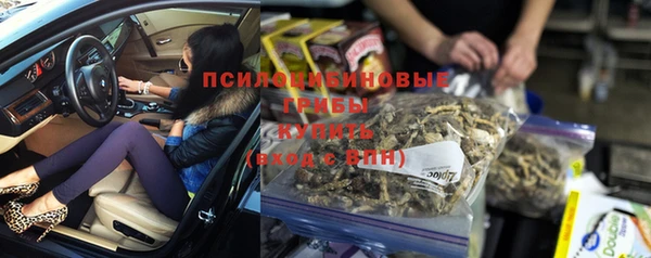 крисы Белокуриха