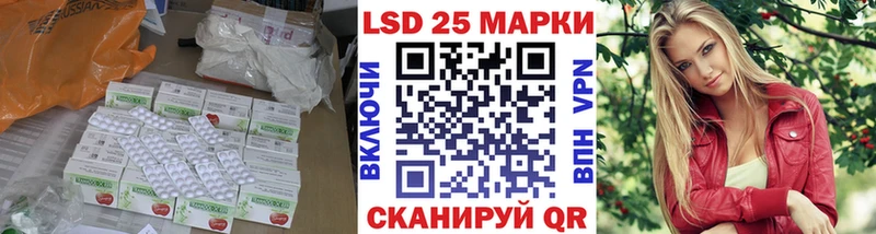 дарк нет телеграм  что такое   Няндома  ЛСД экстази кислота 